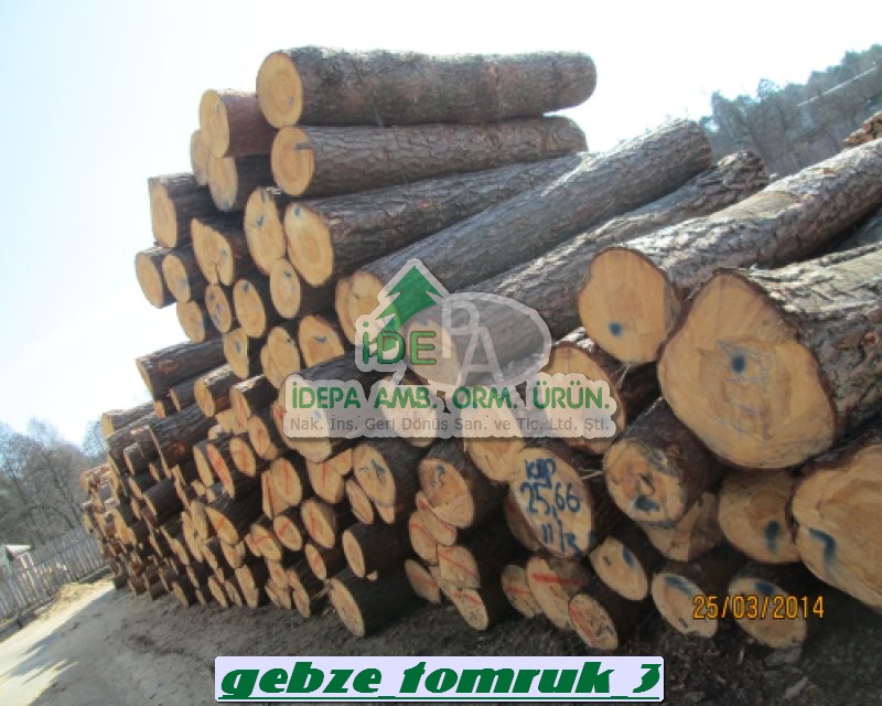 Gebze Tomruk